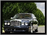 Bentley Arnage, Blue Train Series