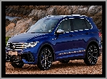 Volkswagen Tiguan R, Granatowy