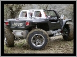 Prototyp, Jeep