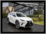 Lexus NX Crafted